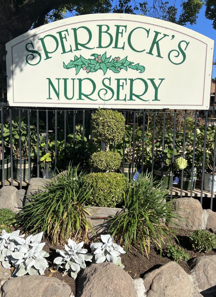 Sperbeck's Nursery & Landscape Center. 
1332 Woodward Street
Yuba City, CA 95993